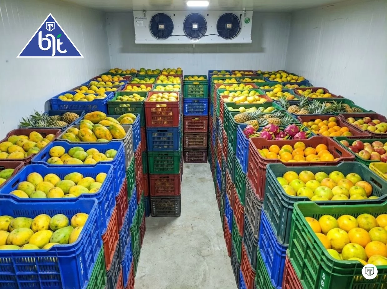 Tantangan dan Solusi dalam Menjaga Kualitas Buah-buahan Segar di Supermarket